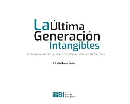 Imagen LA ÚLTIMA GENERACIÓN INTANGIBLES