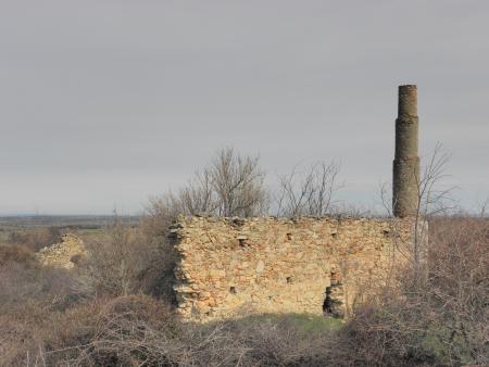 Esquileo y lavaderos de lana de Rancho Alfaro