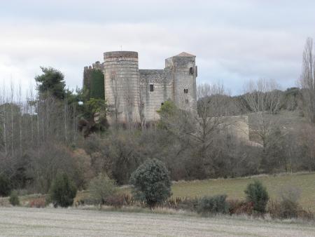 Imagen Castillo de Castilnovo