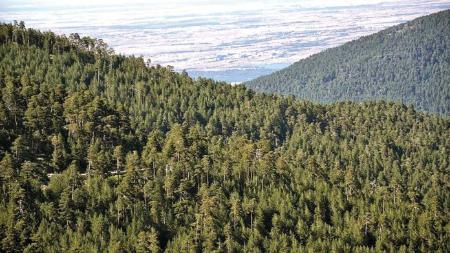 Desde 'Allende Sierra'