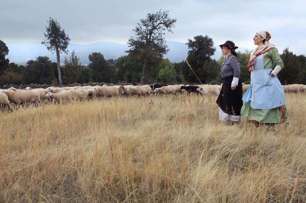 Al Paso de 90 Varas Castellanas: